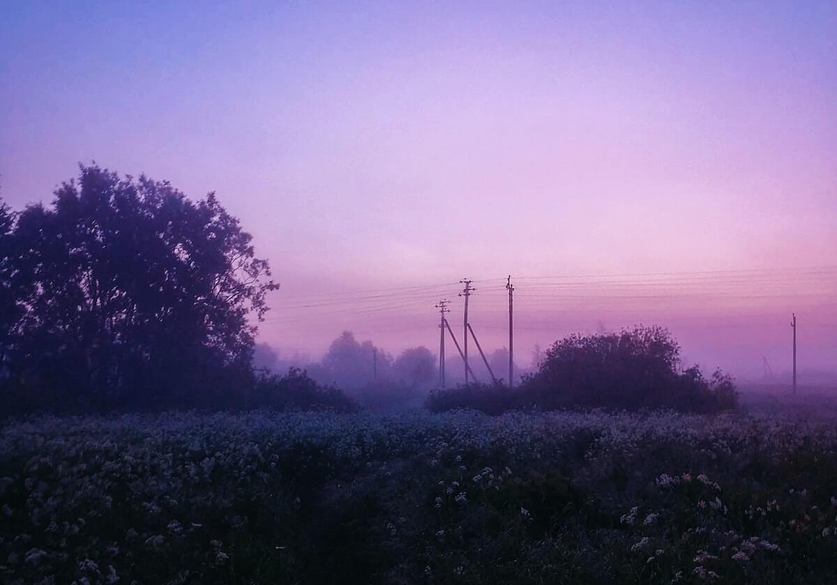 拿樱花动漫做例子：把画面选择的偏向讲明白（用图解的方式讲）